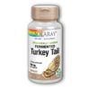 Hongo de cola de pavo fermentado cultivado orgánicamente - 500 mg 60 Cápsulas Veganas