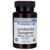 Lactobacillus Sporogenes (Bacillus Coagulans) - 6 Billion CFU 60 Cápsulas Veganas