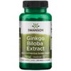 Extracto de Ginkgo Biloba - Estandarizado - 120 mg 100 Cápsulas Veganas de Liberación Prolongada